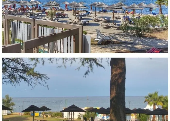 Memic 100 M Do Plaze, Memic Only 100m From