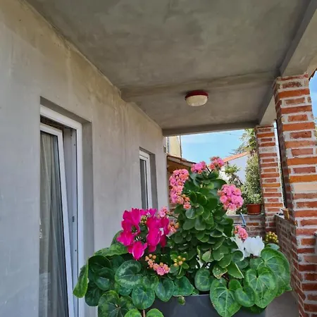 Memic 100 M Do Plaze, Memic Only 100m From Poreč