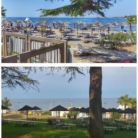 Memic 100 M Do Plaze, Memic Only 100m From