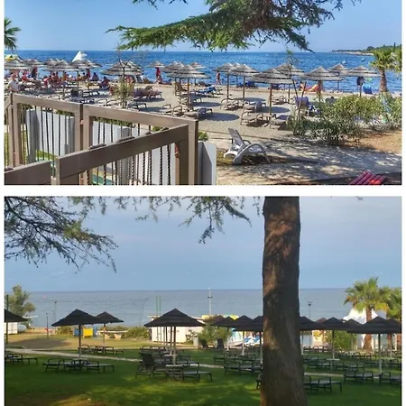 Memic 100 M Do Plaze, Memic Only 100m From