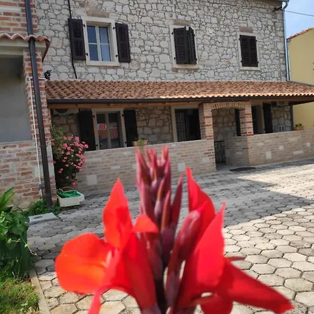 Memic 100 M Do Plaze, Memic Only 100m From *